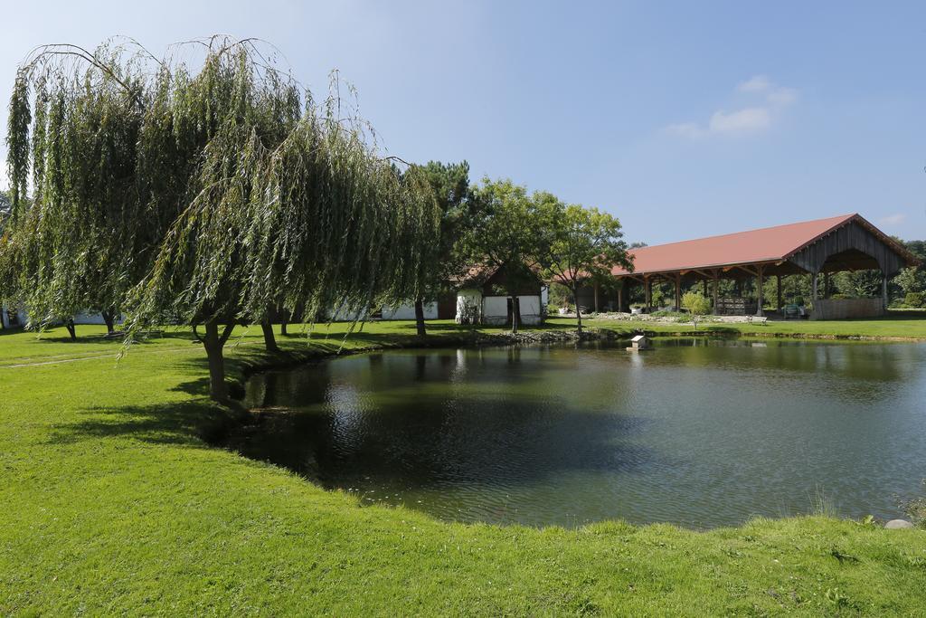 לינה וארוחת בוקר Lépine Domaine De Collen מראה חיצוני תמונה
